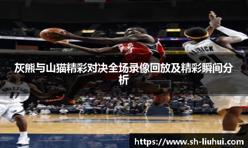 灰熊与山猫精彩对决全场录像回放及精彩瞬间分析