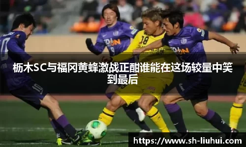 枥木SC与福冈黄蜂激战正酣谁能在这场较量中笑到最后