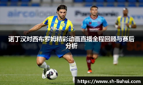 诺丁汉对西布罗姆精彩动画直播全程回顾与赛后分析