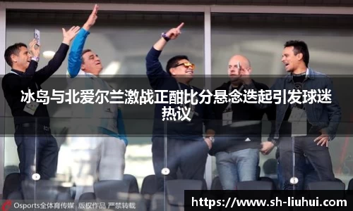 冰岛与北爱尔兰激战正酣比分悬念迭起引发球迷热议