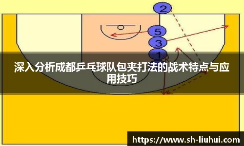 深入分析成都乒乓球队包夹打法的战术特点与应用技巧
