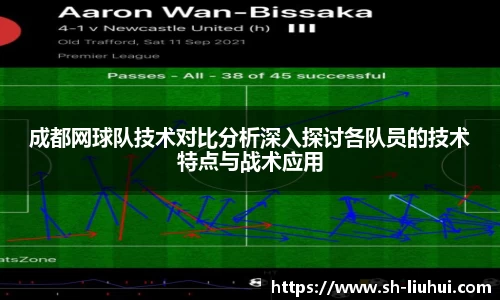 成都网球队技术对比分析深入探讨各队员的技术特点与战术应用