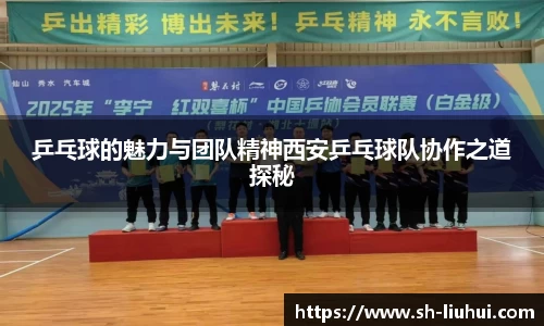 乒乓球的魅力与团队精神西安乒乓球队协作之道探秘