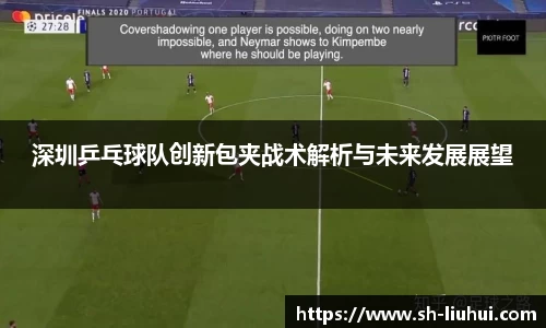 深圳乒乓球队创新包夹战术解析与未来发展展望